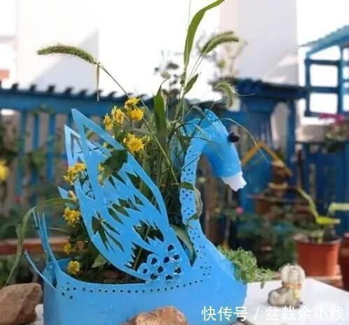 旧物|家中旧物拿来养花,1个花盆也不用买,种了满屋的花,漂亮实用