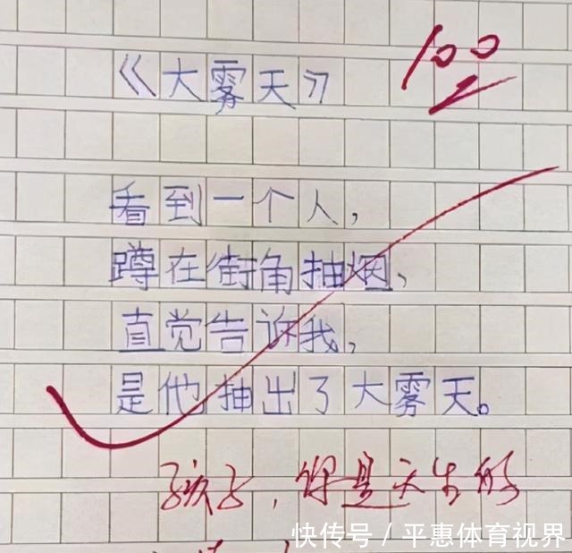 鼻子|小学生作文“小姨的假鼻子”火了，网友：不会是你气歪的吧？赔钱