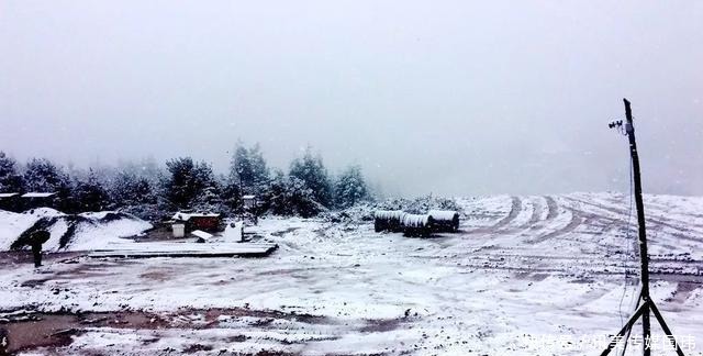 重庆周末去赏雪：新一轮降温后，雪漫人间！这些地方都可以赏雪