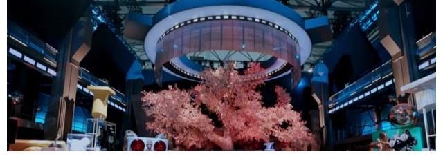 叶音|四肢不协调的人怎么看这就是街舞第四季？