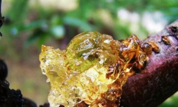 雌性激素|女人不要太节俭,平时多吃4种食物,补充雌激素,保养卵巢防衰老