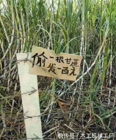 |搞笑GIF趣图:这货也能上地铁?