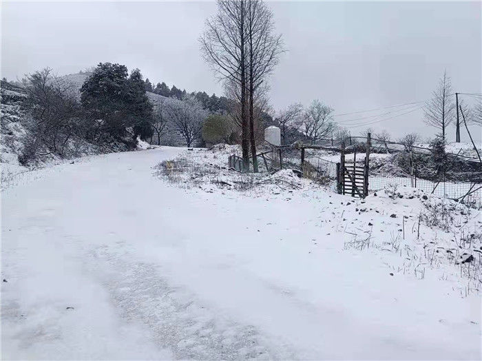 山区|象山又下雪了！山区雪景虽美路难行，非必要不上~