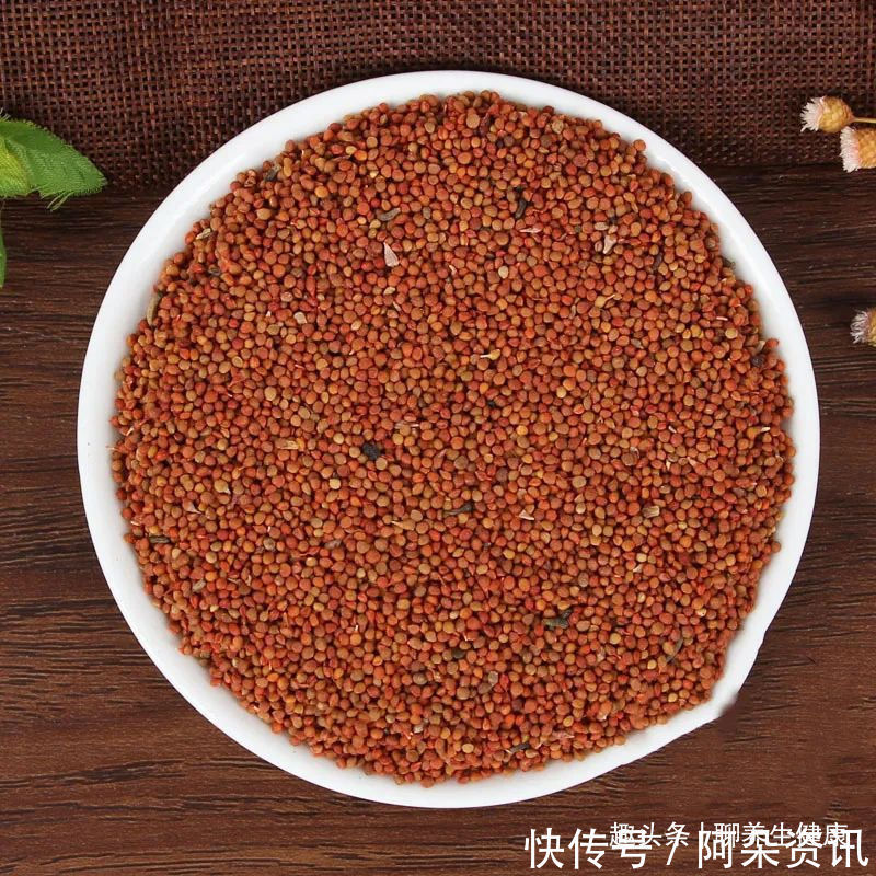 白丁香|一个古方,2味药!强腰膝,补虚劳,悦颜色,壮筋骨!妙不可言!