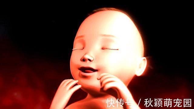 热爱运动|原来孕期从这个月开始,胎儿性格就能看出来了,孕妈你是哪一款?