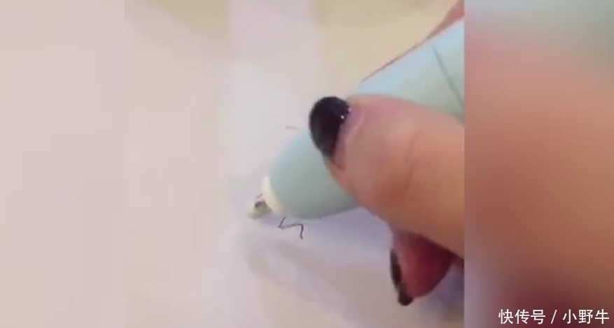 孩子|孩子新买了学习文具,家长看后气得发抖,网友误人子弟啊