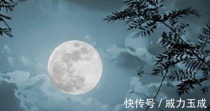 贺铸|“草根语深夜,灯下感流年”——历代秋虫啾鸣下的古诗赏读