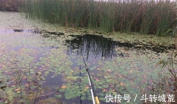 垂钓|野河钓鱼,找鱼窝的常用方法,找拐弯找水草,不过这种地形才最佳