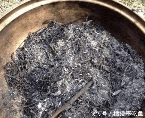 在花盆里撒点它,花卉绿植长得旺,养20年都没黄叶不生病!