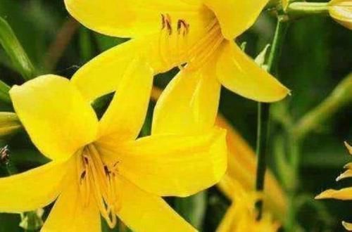 妇科炎症|女人在“大姨妈”结束后,经常吃4物,子宫更干净,或助远离炎症