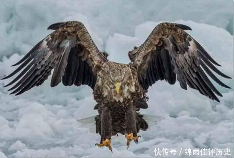 襄阳|他深得郭靖和周伯通真传,打败杨过,射杀神雕,成武林盟主