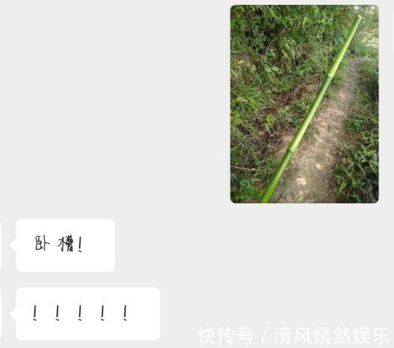 |搞笑段子:和家里介绍的妹子吃完饭了,接下来我该怎么办啊?