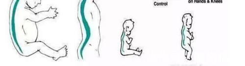 妈妈|新生儿的6条冷知识,有时候宝宝不是生病了,而是正常长身体