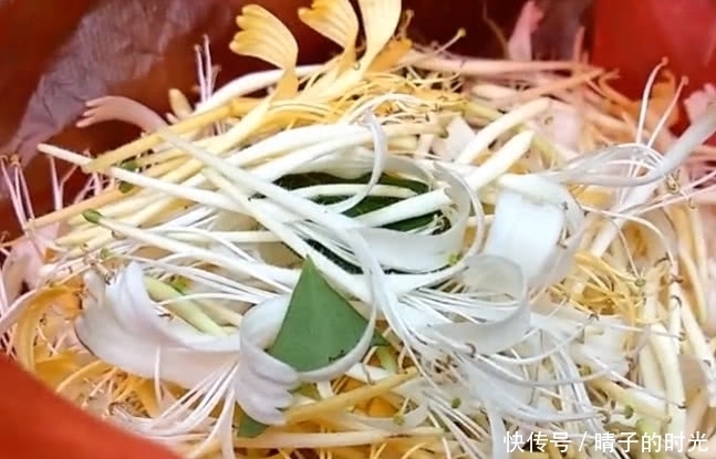 一种野草花开价值便高,是一味天然好药材,见着还请珍惜摘回家