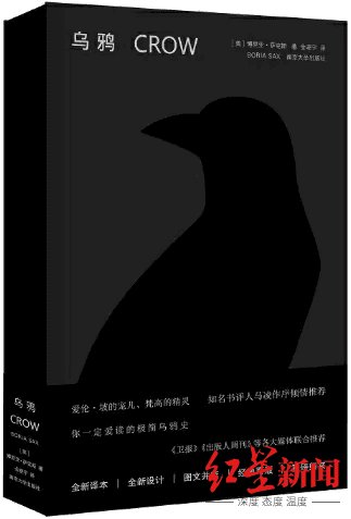 南京大学|“天才翻译家”金晓宇刷屏！他的这些译作你读过吗？