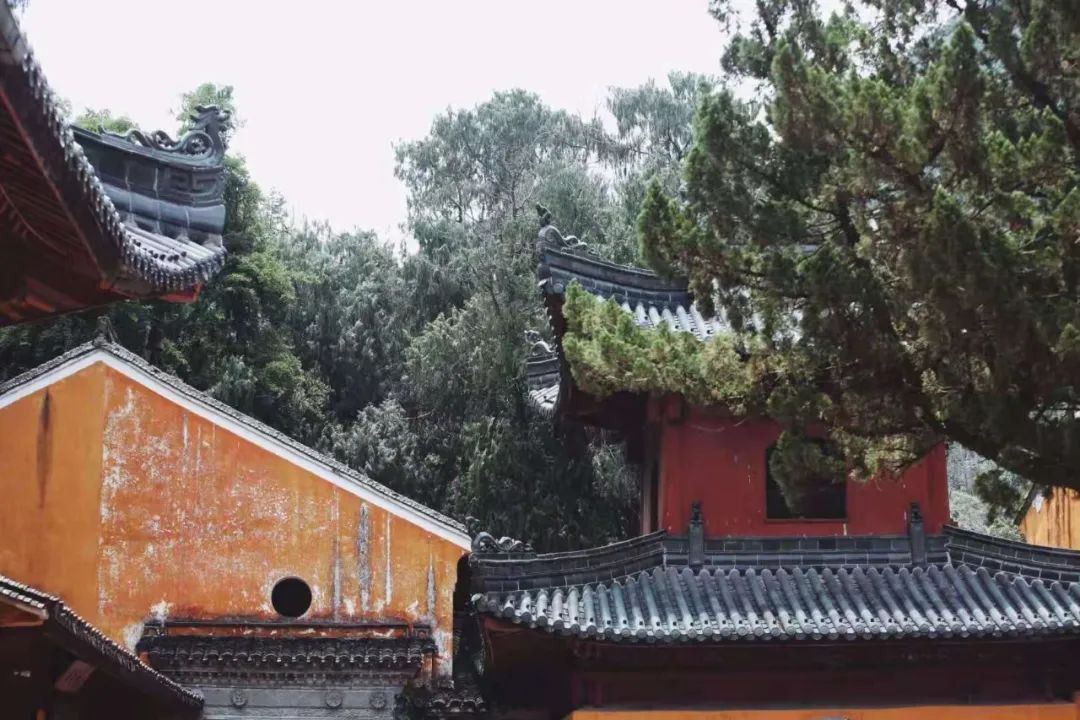 寺院|天台山国清寺恢复开放! 这里低调地美了1400多年, 佛到骨子里!