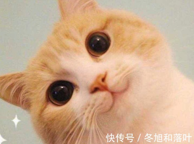 刚需|苏州现在是不是买房的好时机