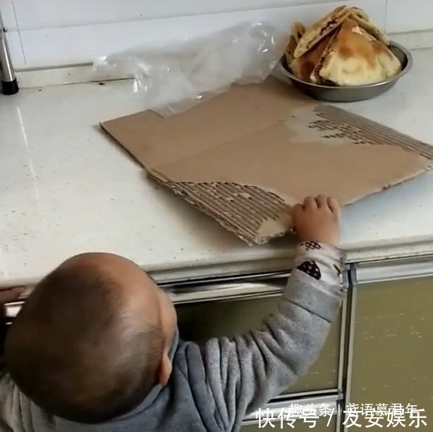迷你版|迷你版“吃货小达人”用纸箱子偷肉饼吃火了,绝对是个“惯犯”