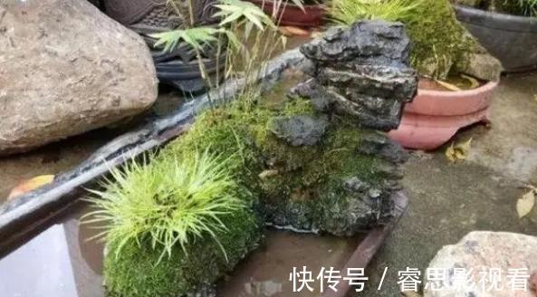 切割|原来石头、空酒瓶养花，不是“凑合”，而是“创意”啊！