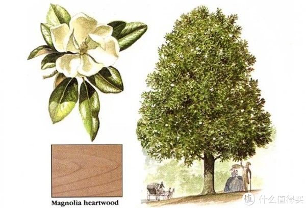 大亏|这16个不为人知的装修小秘密，不看小心吃大亏