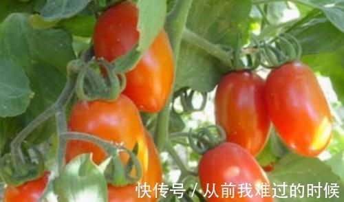 排毒养颜|爱美女性多吃的食物,平时多吃,促进食欲,加速消化,白嫩皮肤