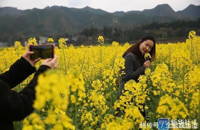 老年|贵州剑河：油菜花开醉游人