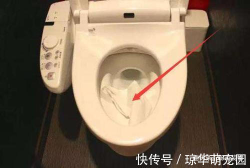 手纸|用过的卫生纸是丢进马桶冲掉,还是丢进纸篓?原来这些年都错了