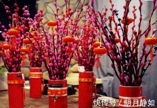 4种花颜值超高,漂亮似牡丹,四季有花开,香气怡人,是盆栽佳品