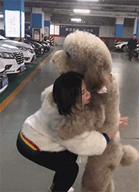 |搞笑GIF:日防夜防,损友难防,这一下恐怕半年都下不了床