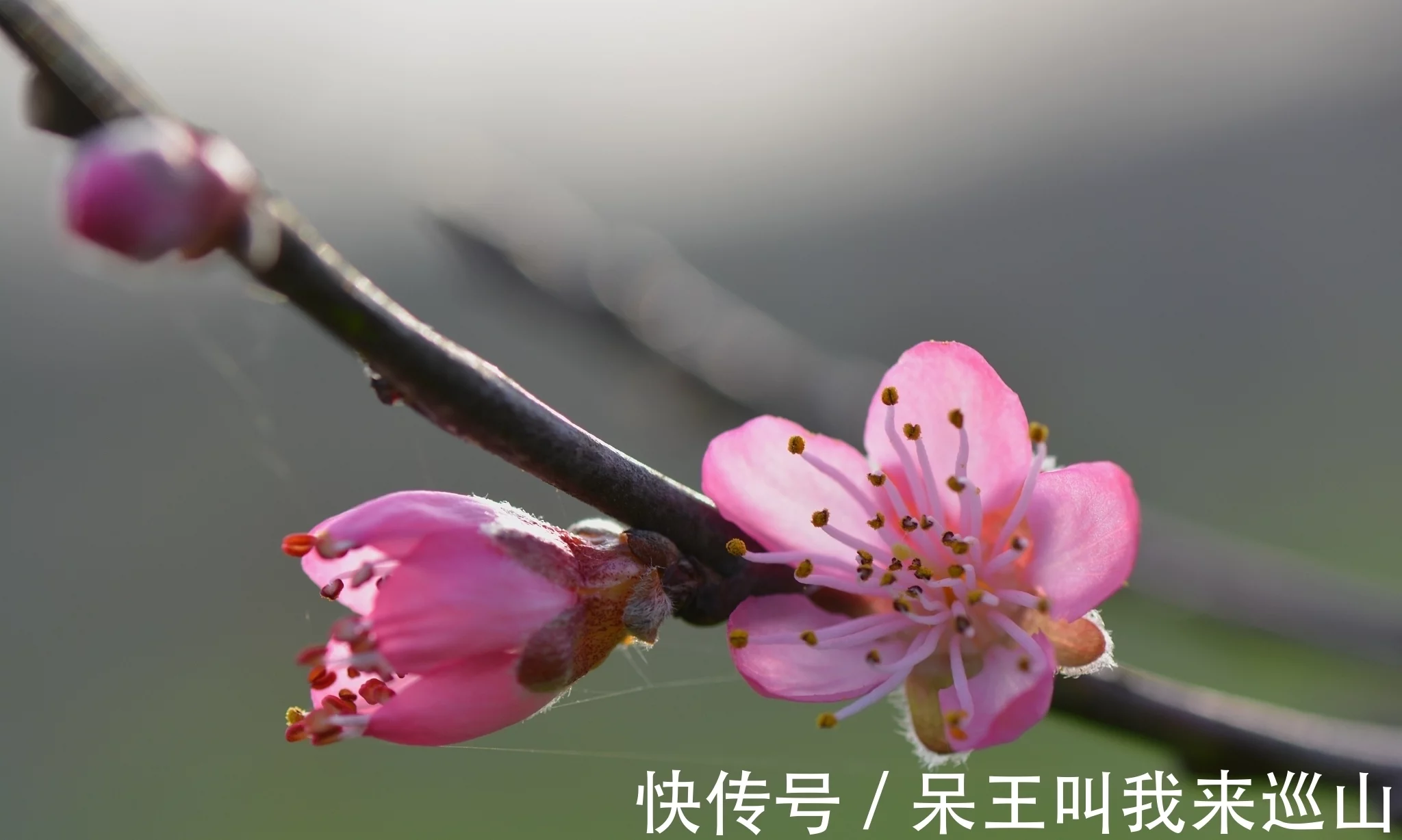 这都可以（之子于归）之子于归远送于野瞻望弗及泣涕如雨翻译