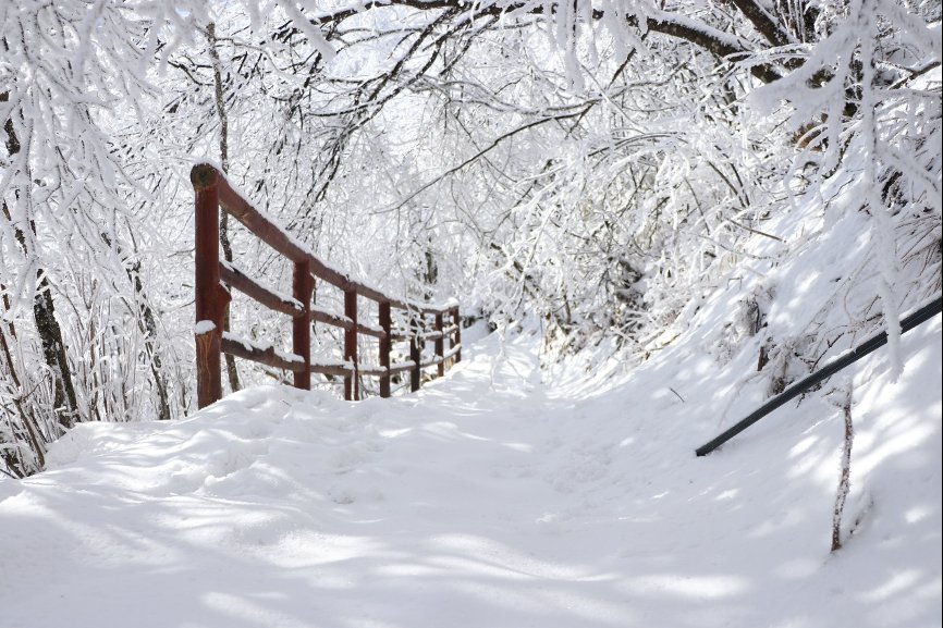 看雪|光雾山：“整个朋友圈都去看雪了，你还不来吗？”