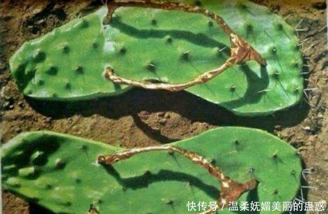 楼梯|姑娘今天裙子穿的有点紧,上个楼梯都需要别人帮助!