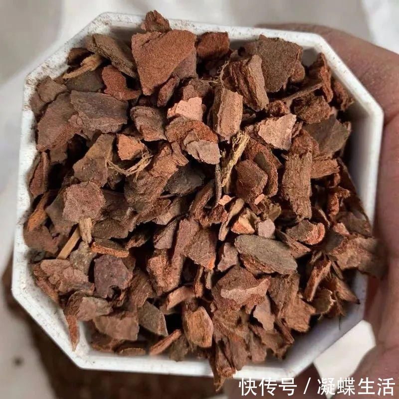 煤渣|换盆时,花盆里垫上这5种小东西,透水又透气,再也不怕烂根啦