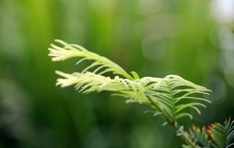 昂贵|赞美,是世上最廉价又最昂贵的奖励