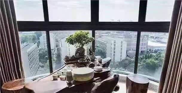 养花高手不买一楼房子,庭院生活,一个阳台就能实现,羡慕