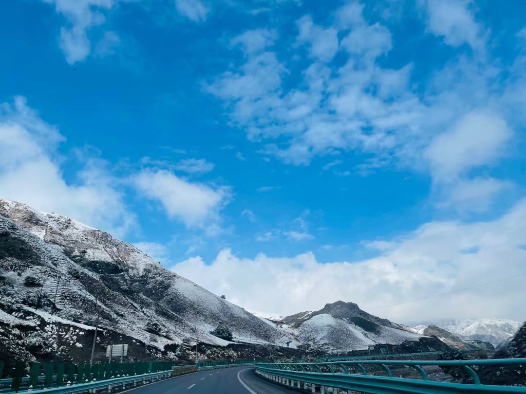 滞留|最新通报！又是德尔塔，但不是近期本土疫情基因序列