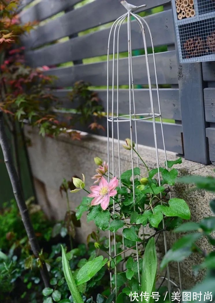 防腐木|为了这个45㎡小院子，坚持买了一楼，打造成花园后比别墅还好看