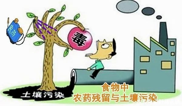 元气|大白话说中医第一百一十八期体寒肝虚要抓主因，先调便秘全身受益！