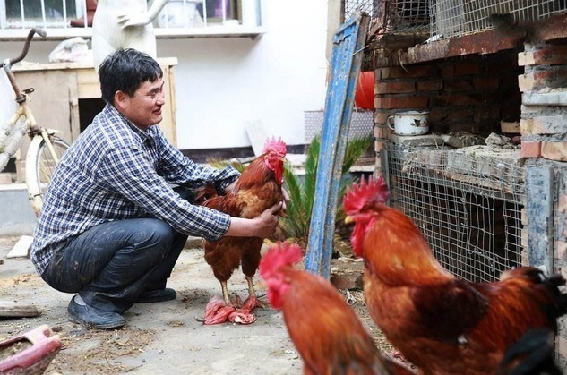 朱之文年入千萬(wàn)，為何還在農(nóng)村種地？網(wǎng)友：唯一把明星當(dāng)副業(yè)的人