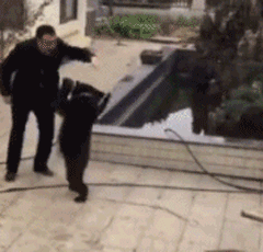 |搞笑GIF:设计师你出来 我保证不打你脸