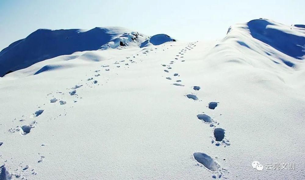 《最初的雪》