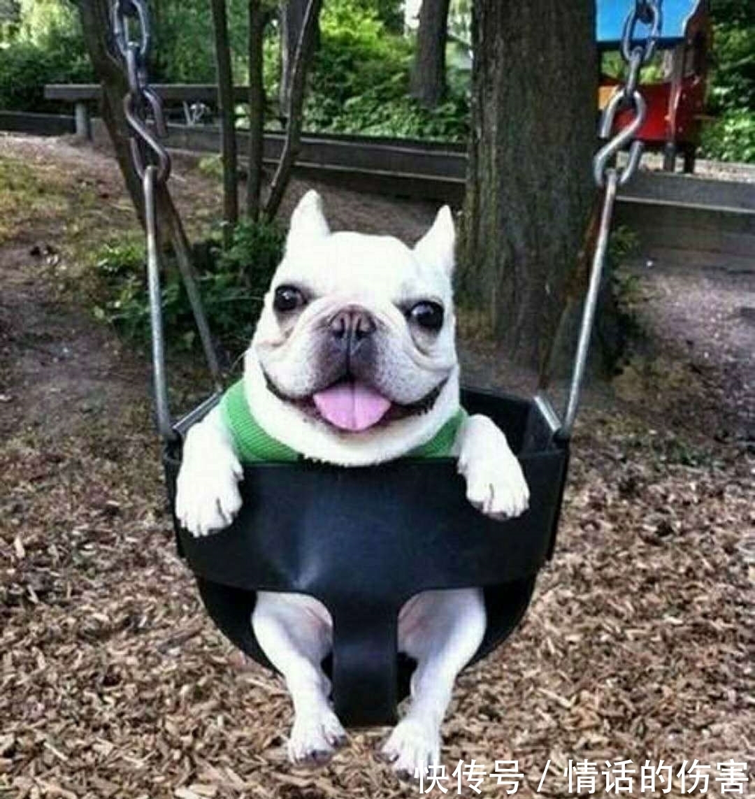 |幽默搞笑笑话:昨天晚上回家的时候,在楼道里面遇到一个可疑男子