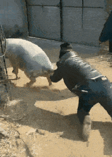 |搞笑GIF:女人扎堆儿的时候,是不是有种全都超漂亮的错觉?