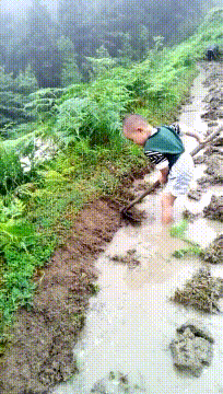 如来佛祖真是有钱,连看猴都要花钱看