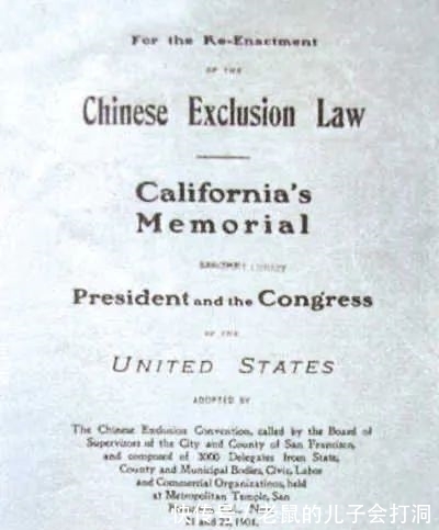 海逝|凭什么都骂她不要脸？