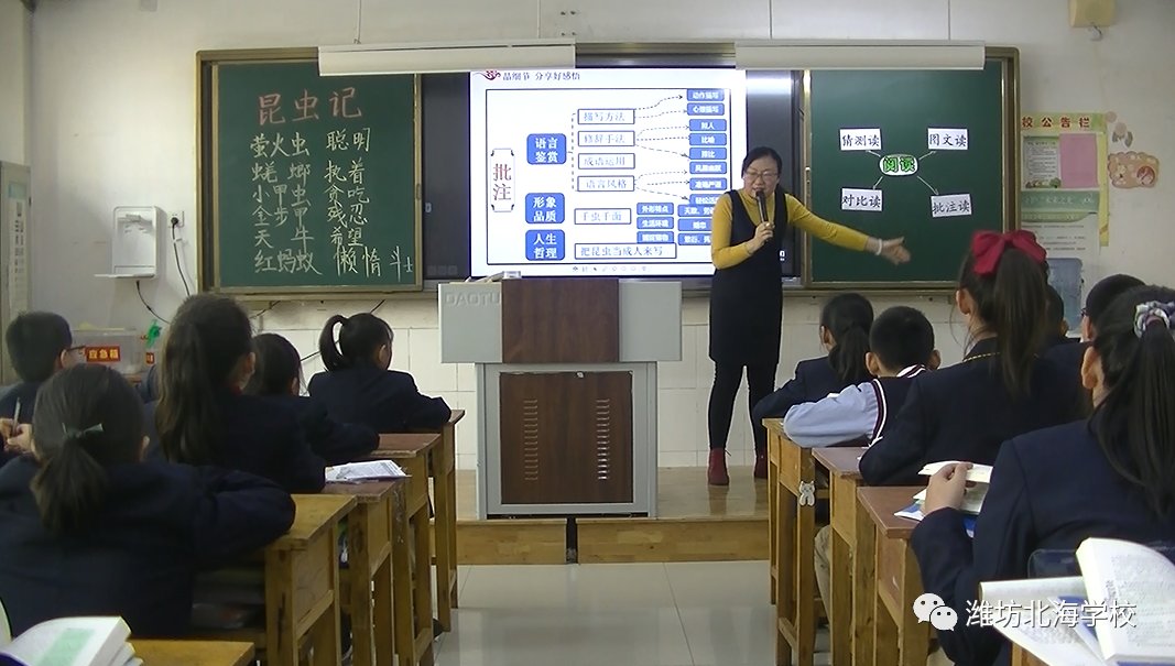 生命的礼赞——北海学校小学部举行整本书《昆虫记》阅读教研活动