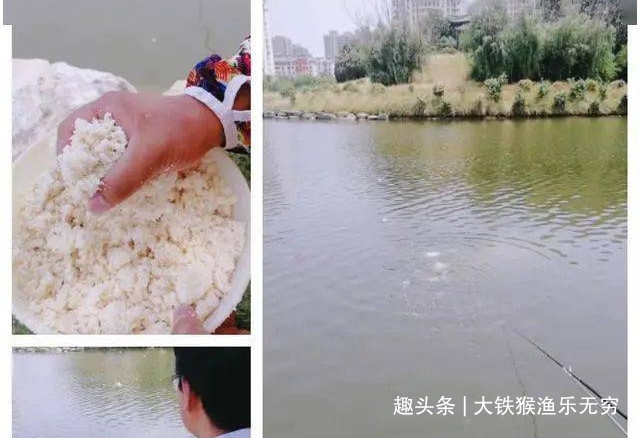饵料|五种野钓大鱼的神饵，都藏在你家的厨房，老钓鱼人都在偷偷用