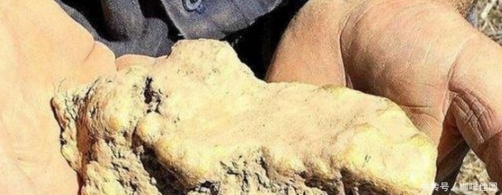 清洗|男人下地耕作捡到一块奇怪石头,仔细清洗之后,让他乐开了花