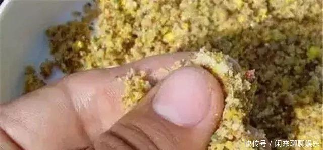 钓鱼高手教你如何搓饵钓大鱼,即使闹小鱼,也不会在害怕了