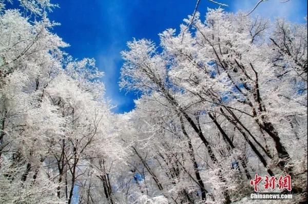 赴一场与冬天的约会|今日大雪 | 约会